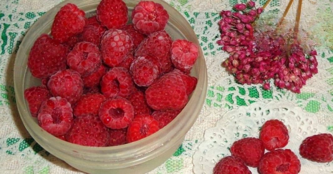 Raspberry tincture