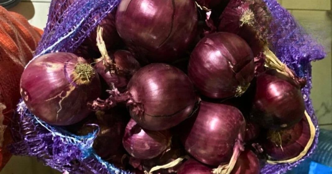 Red onions Red onions