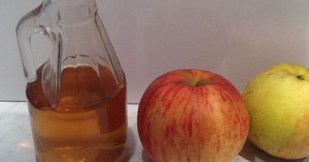 apple cider vinegar apple cider vinegar