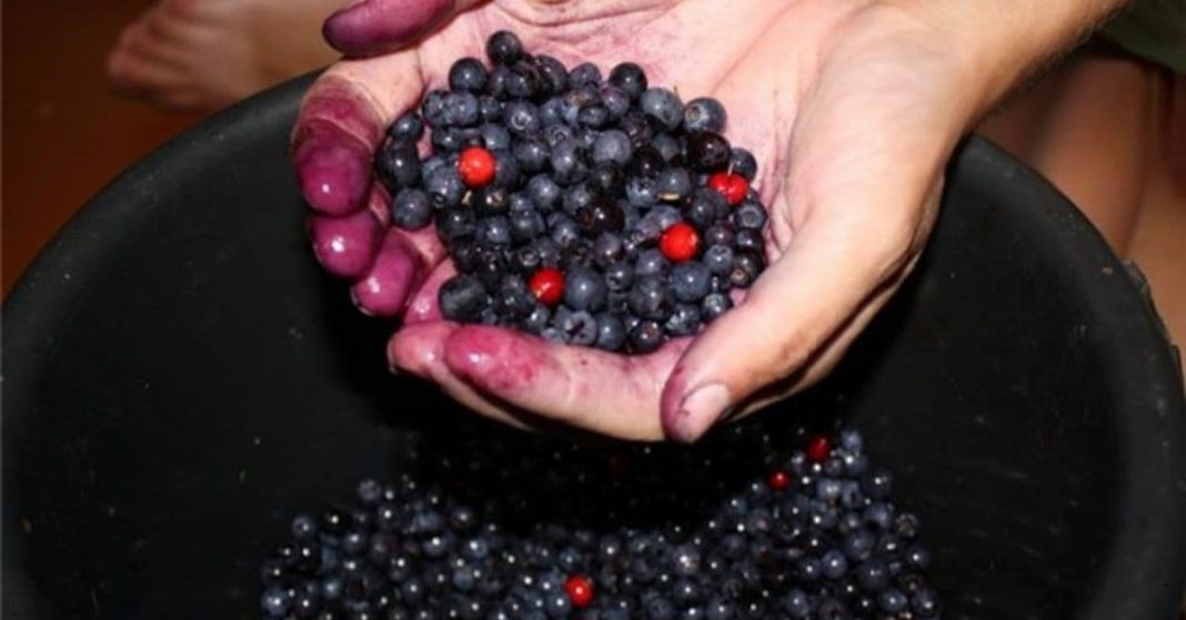 Food which protects the heart from attack