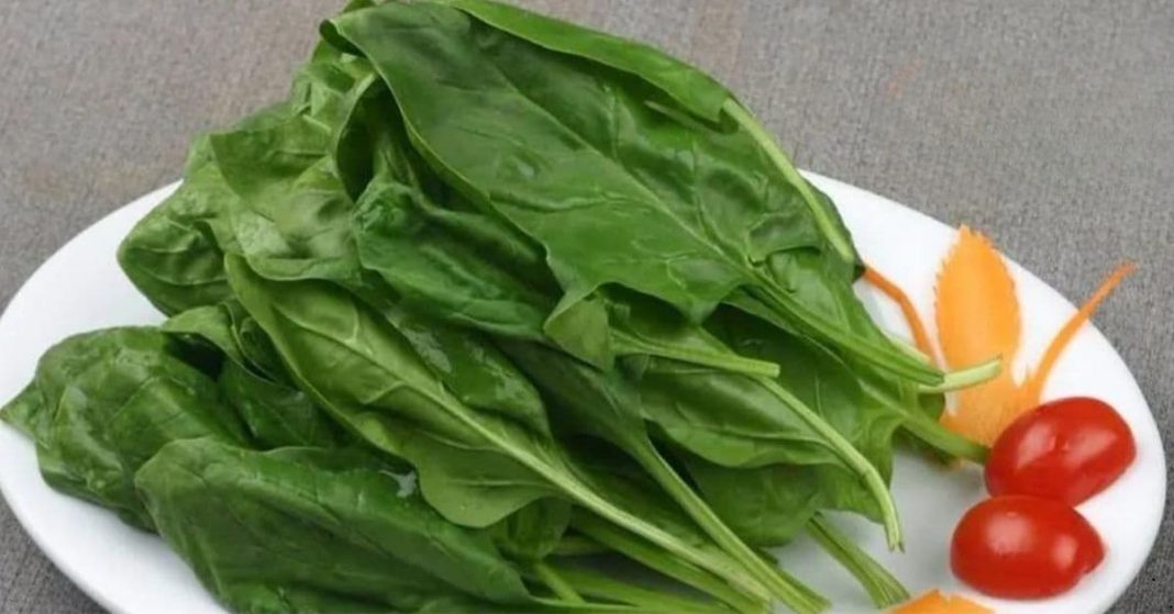 List of products that cleanse arteries and blood vessels List of products that cleanse arteries and blood vessels