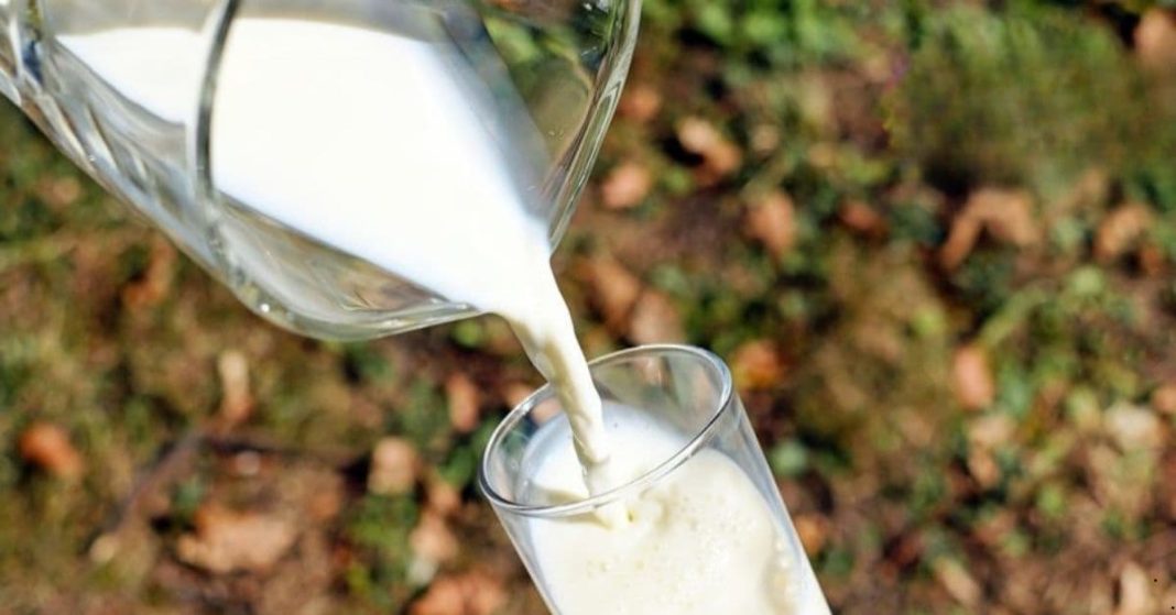 Milk is truly a magical product