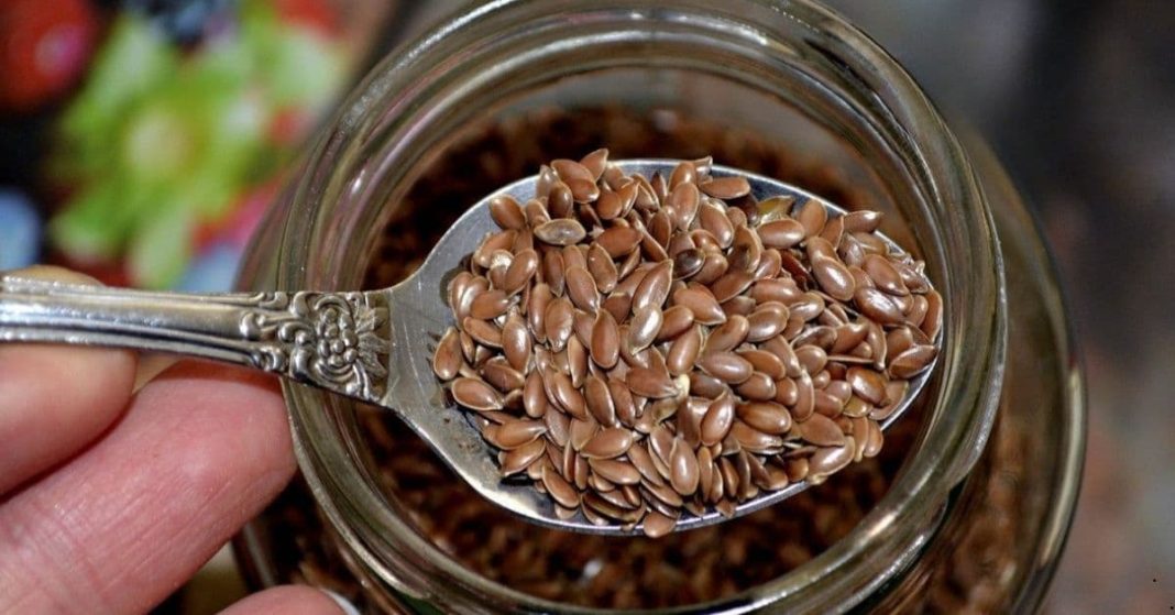 clean the intestines with flaxseed