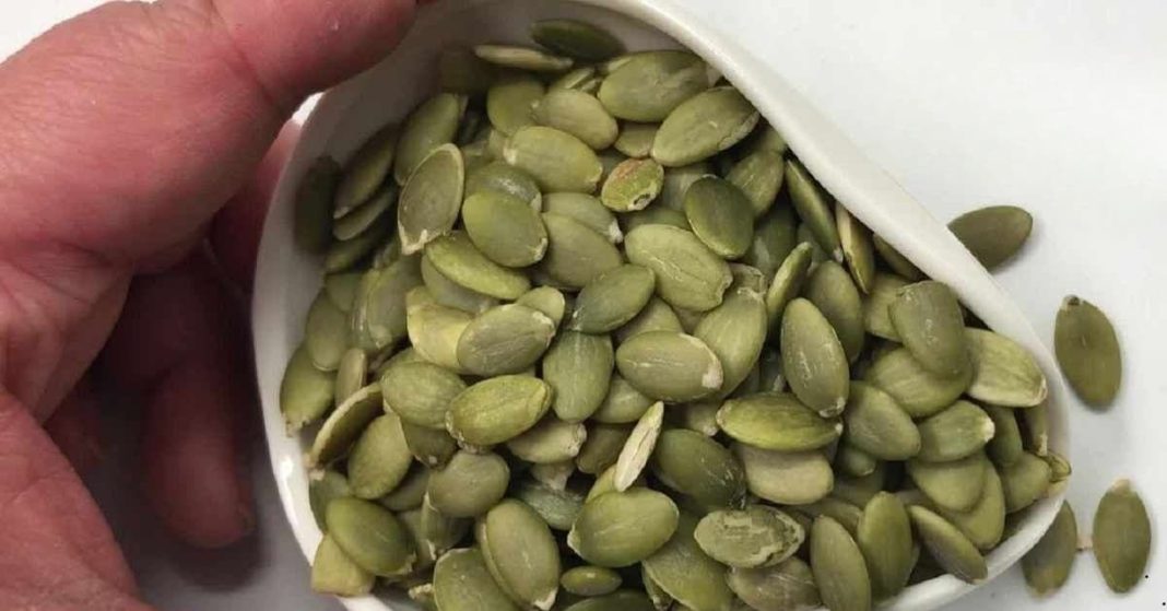 pumpkin seeds pumpkin seeds