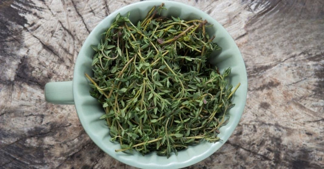 thyme's benefits thyme's benefits
