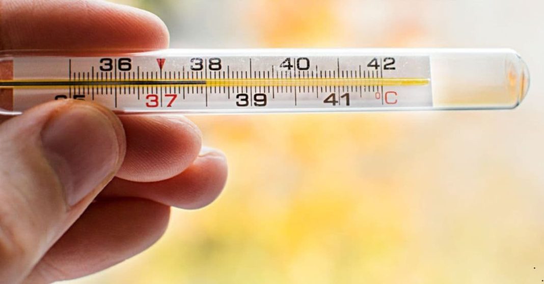 Check the health of your thyroid gland Check the health of your thyroid gland