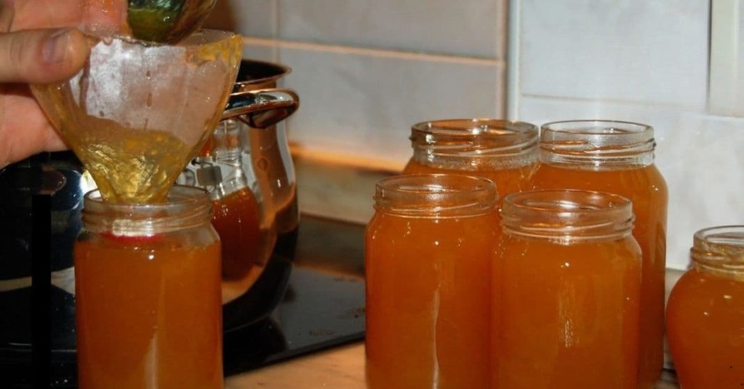 Japanese tips for live a long time