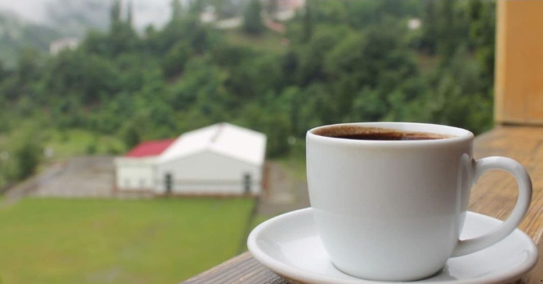 Coffee and Its Effects on the Brain