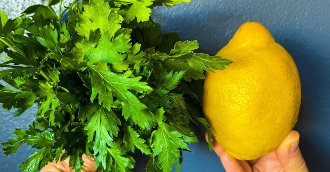 Lemon and parsley Lemon and parsley