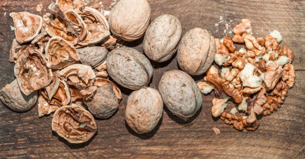 Walnut Shells Walnut Shells