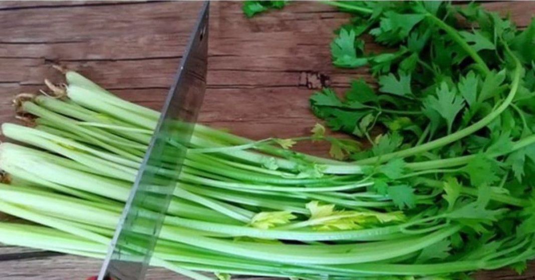 Why You Should Eat Celery