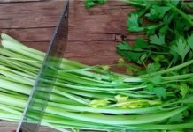 9 Amazing Reasons Why You Should Eat Celery Every Evening! I Didn’t Know This! Why You Should Eat Celery