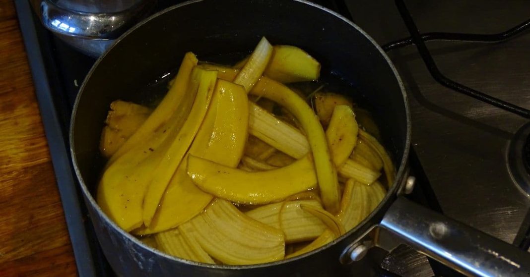 boiled banana peels benefit boiled banana peels benefit